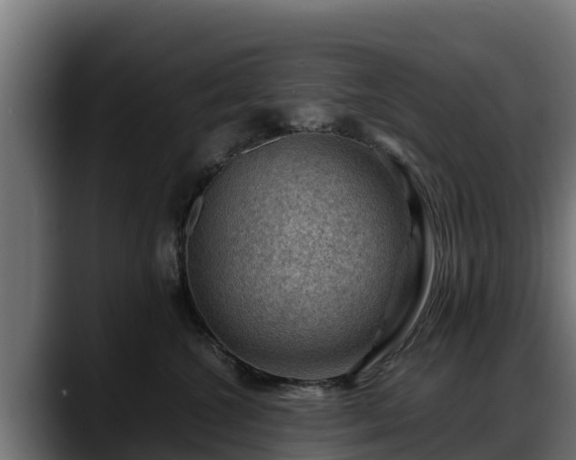 X0000088370572200705291330