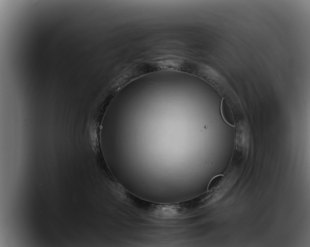 X0000088370573200705291330