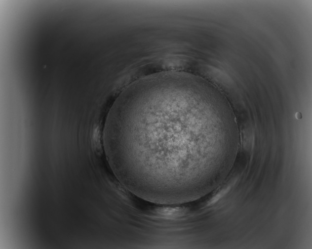 X0000088370575200705291330