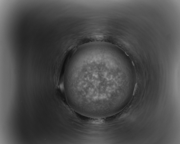 X0000088370576200705291330