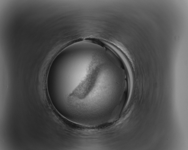 X0000088370577200705291329