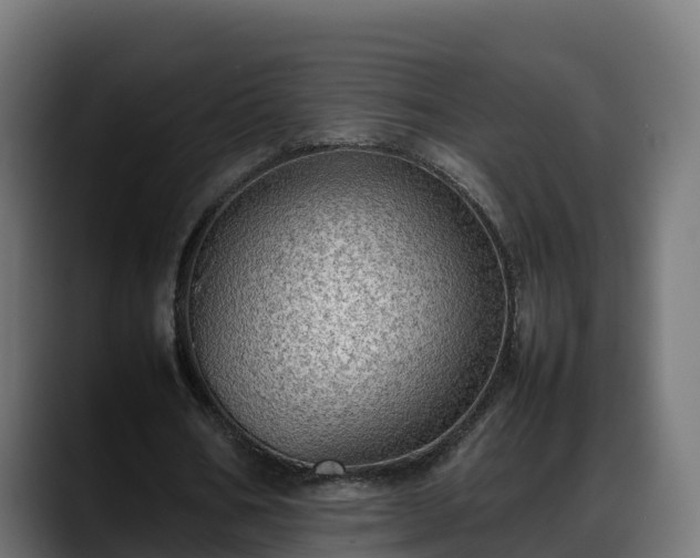 X0000088370578200705291329