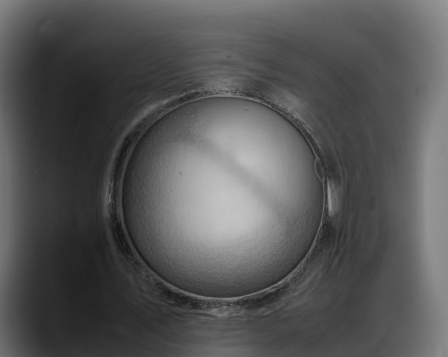X0000088370579200705291329