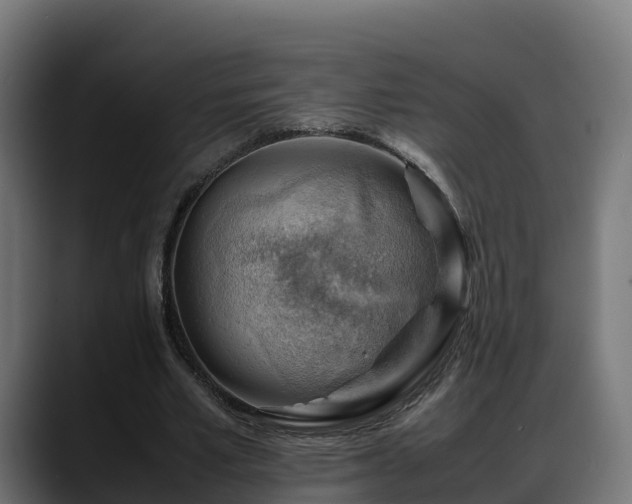 X0000088370581200705291329