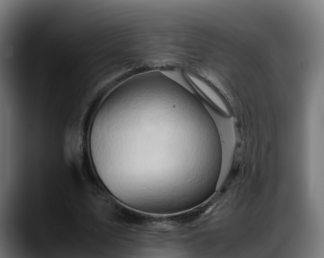 X0000088370583200705291329