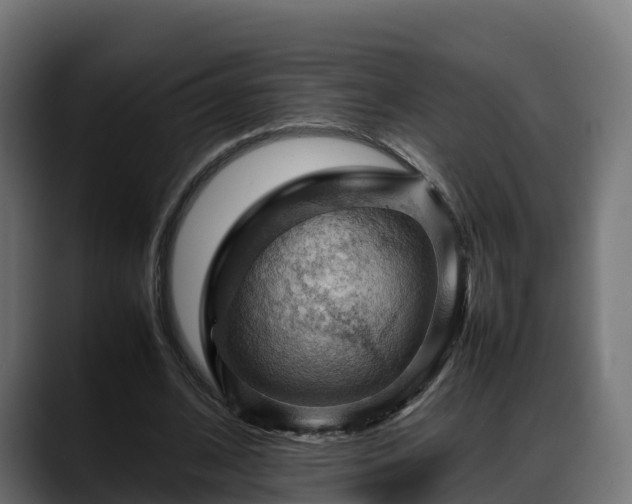 X0000088370584200705291329