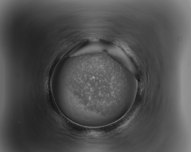 X0000088370585200705291329
