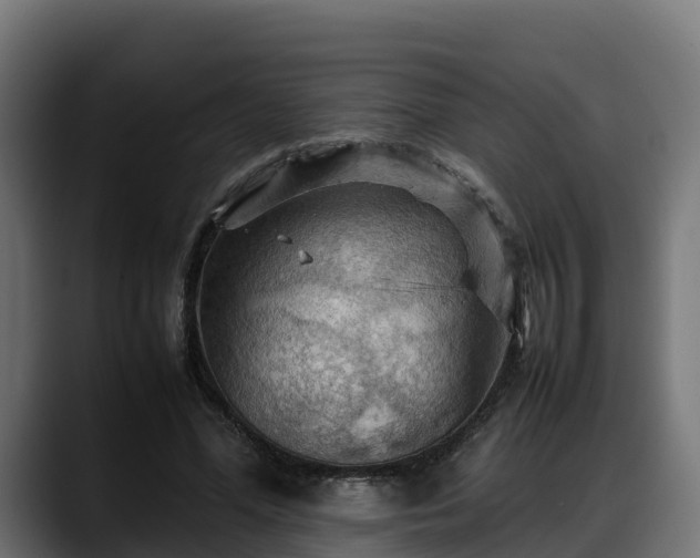 X0000088370588200705291329
