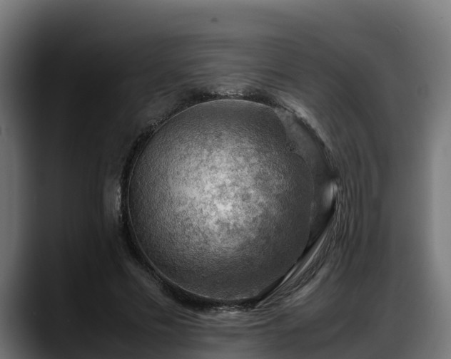 X0000088370589200705291329