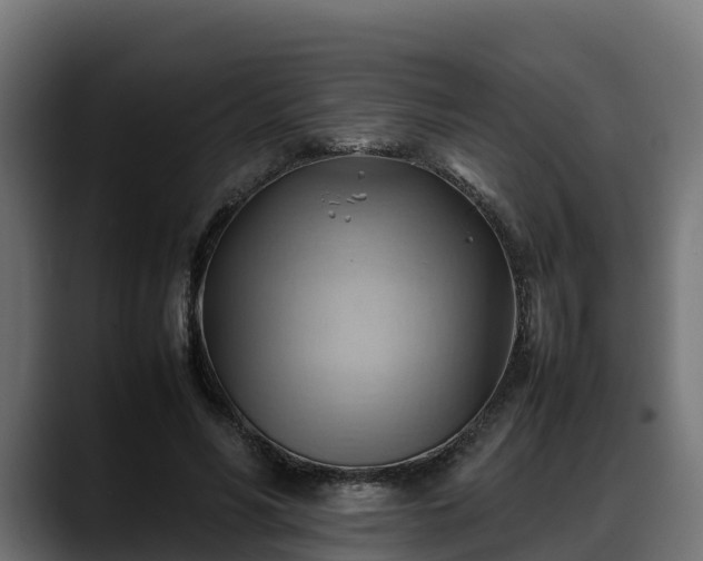X0000088370590200705291329