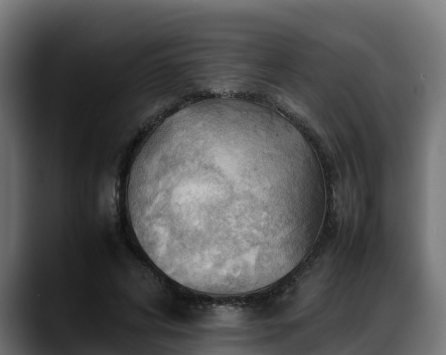 X0000088370592200705291329
