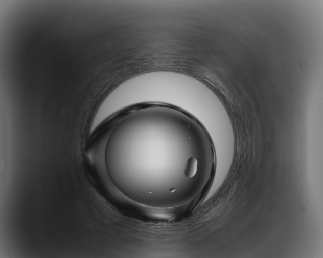 X0000088370593200705291329