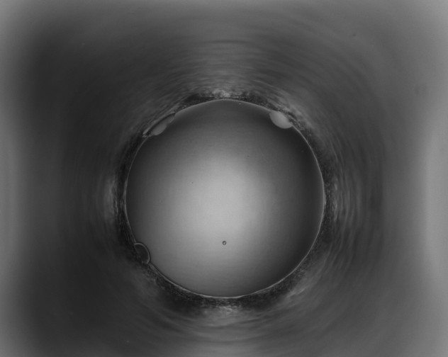 X0000088370594200705291329