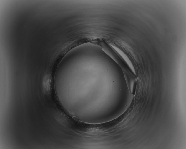 X0000088370596200705291329