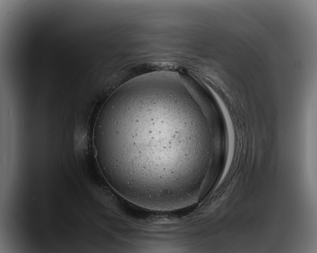 X0000088370597200705291329