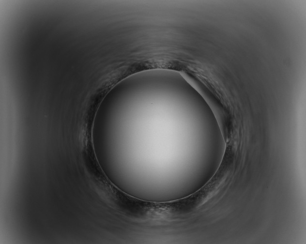 X0000088370599200705291329