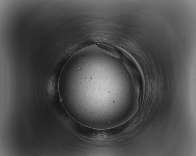 X0000088370600200705291329