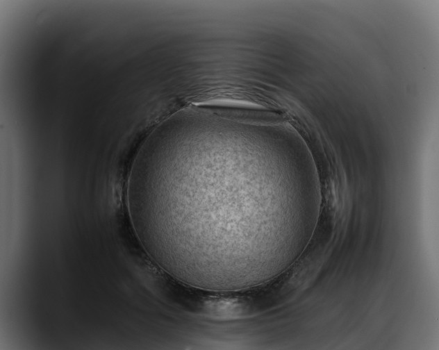X0000088370602200705291329