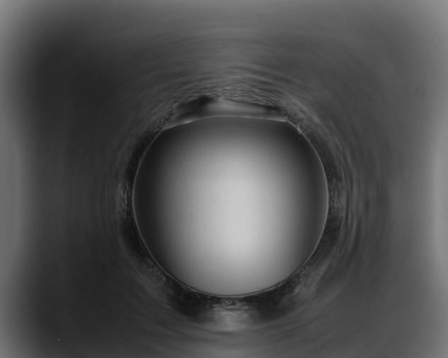 X0000088370603200705291329