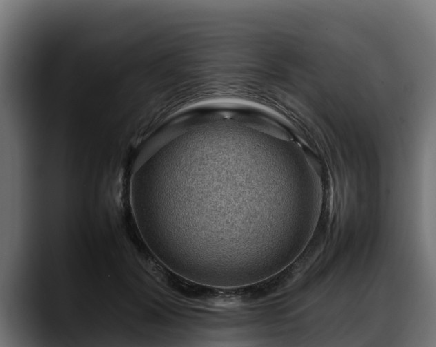 X0000088370604200705291329