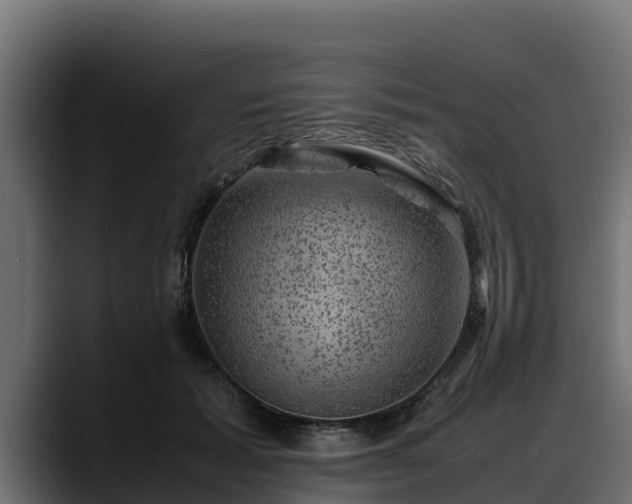 X0000088370605200705291329