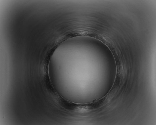 X0000088370606200705291329