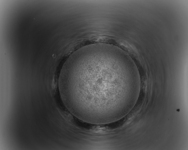 X0000088370607200705291329
