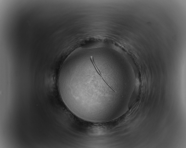 X0000088370608200705291329