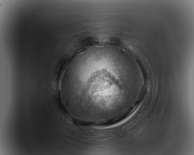 X0000088370609200705291329