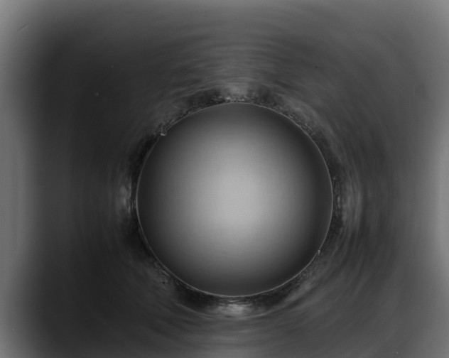 X0000088370610200705291329