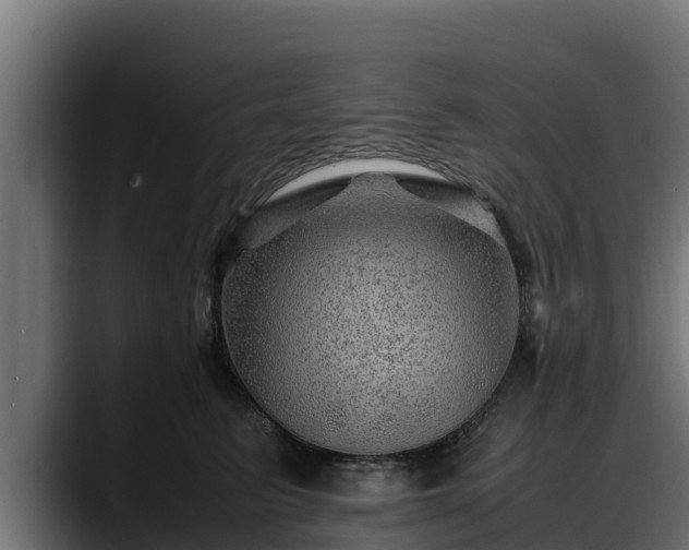 X0000088370615200705291329