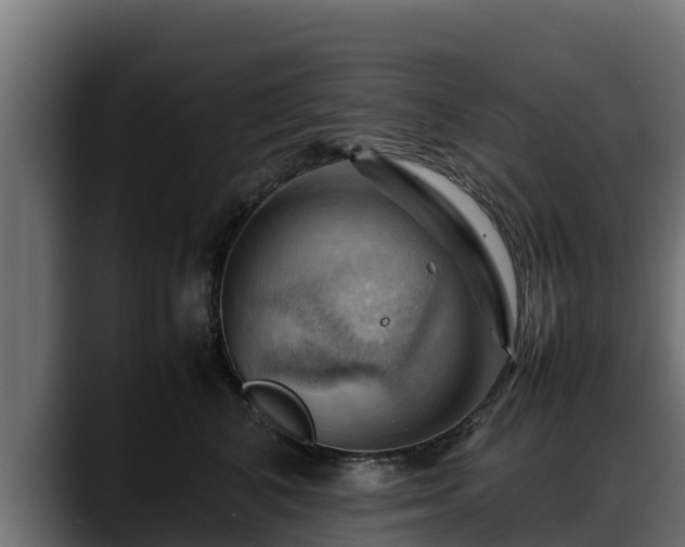 X0000088370616200705291329