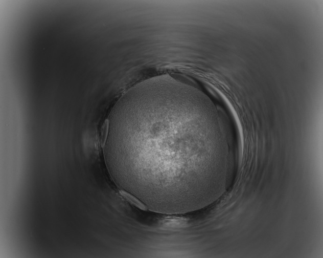 X0000088370617200705291329