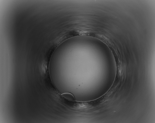 X0000088370618200705291329