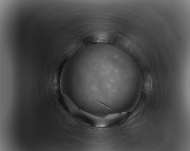 X0000088370620200705291329