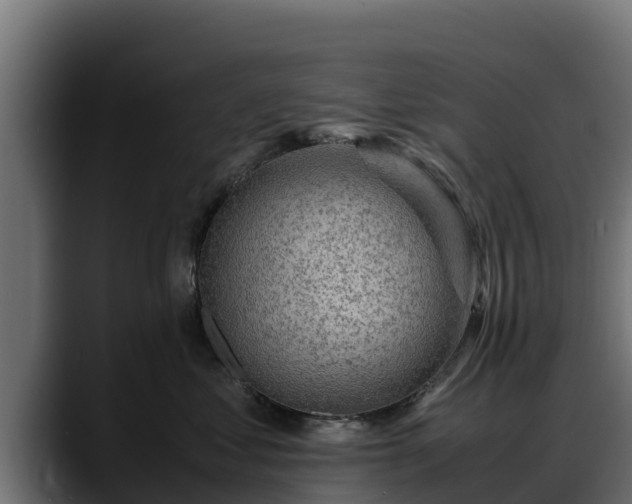 X0000088370621200705291329
