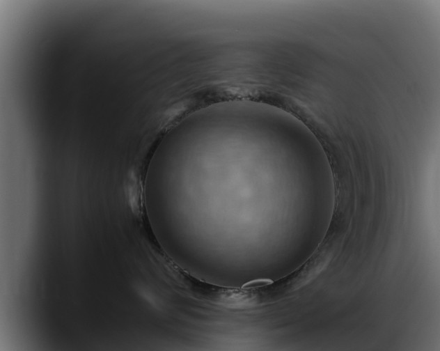 X0000088370624200705291329