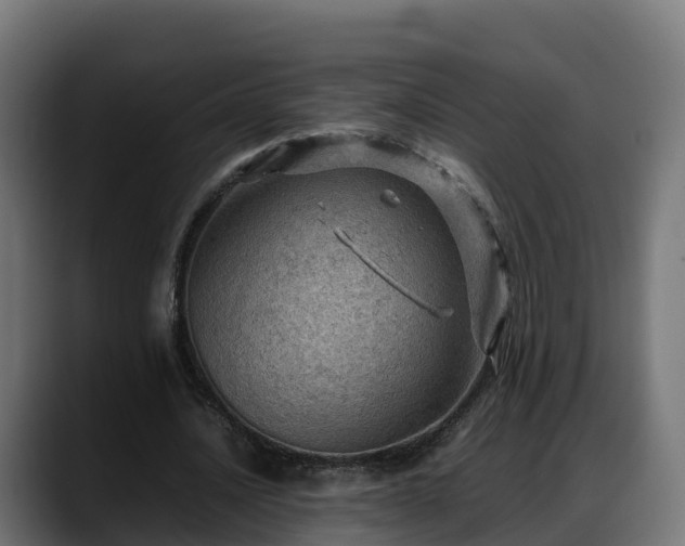 X0000088370628200705291328