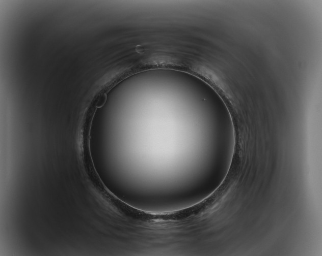X0000088370629200705291328