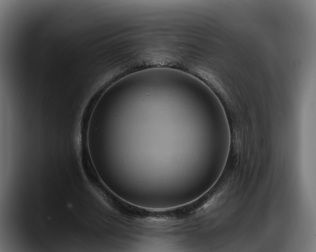 X0000088370630200705291328
