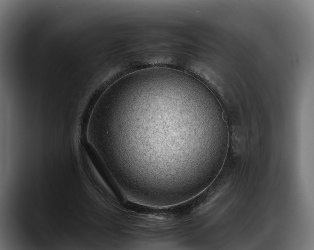 X0000088370631200705291328