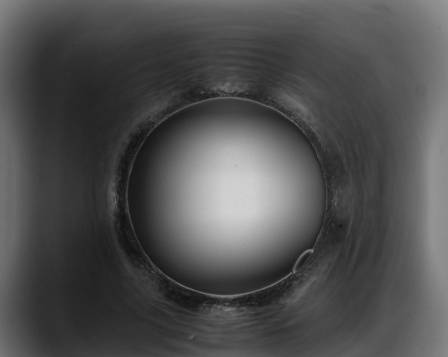 X0000088370635200705291328