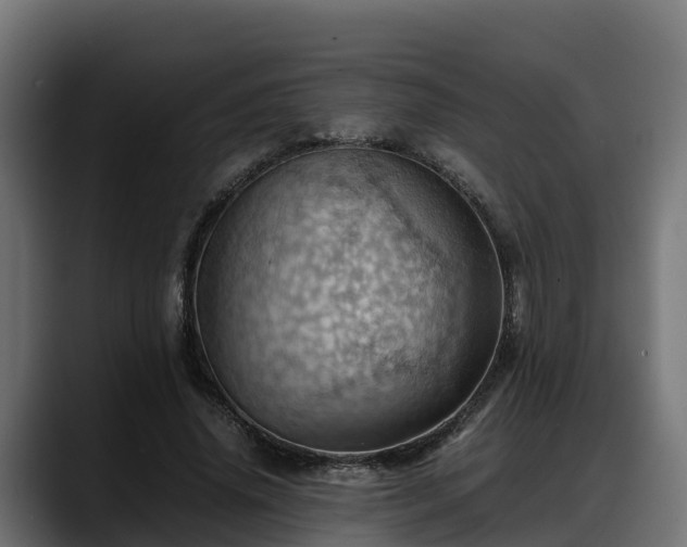 X0000088370636200705291328