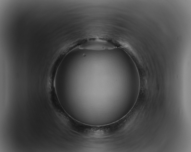 X0000088370640200705291328