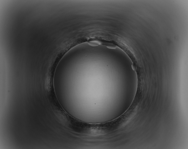 X0000088370641200705291328
