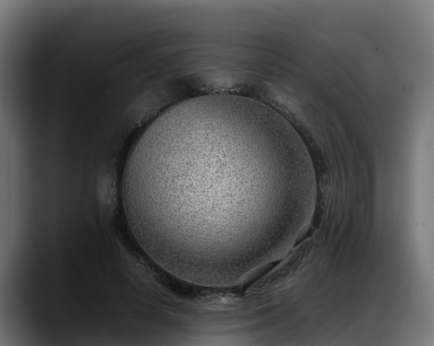 X0000088370642200705291328