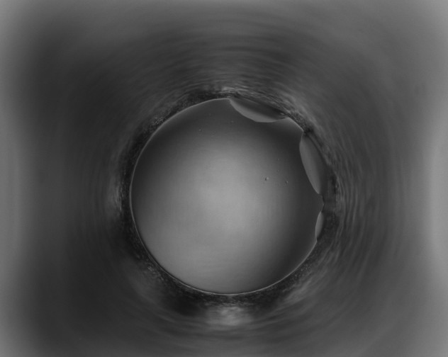 X0000088370643200705291328