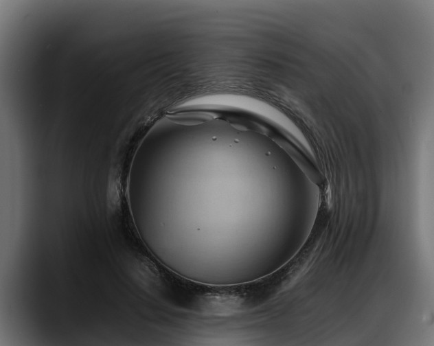 X0000088370644200705291328