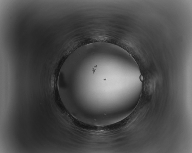 X0000088370647200705291328