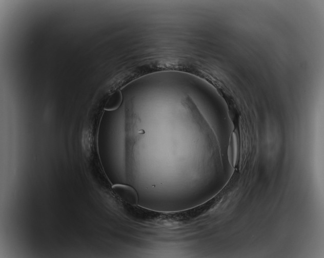X0000088370648200705291328